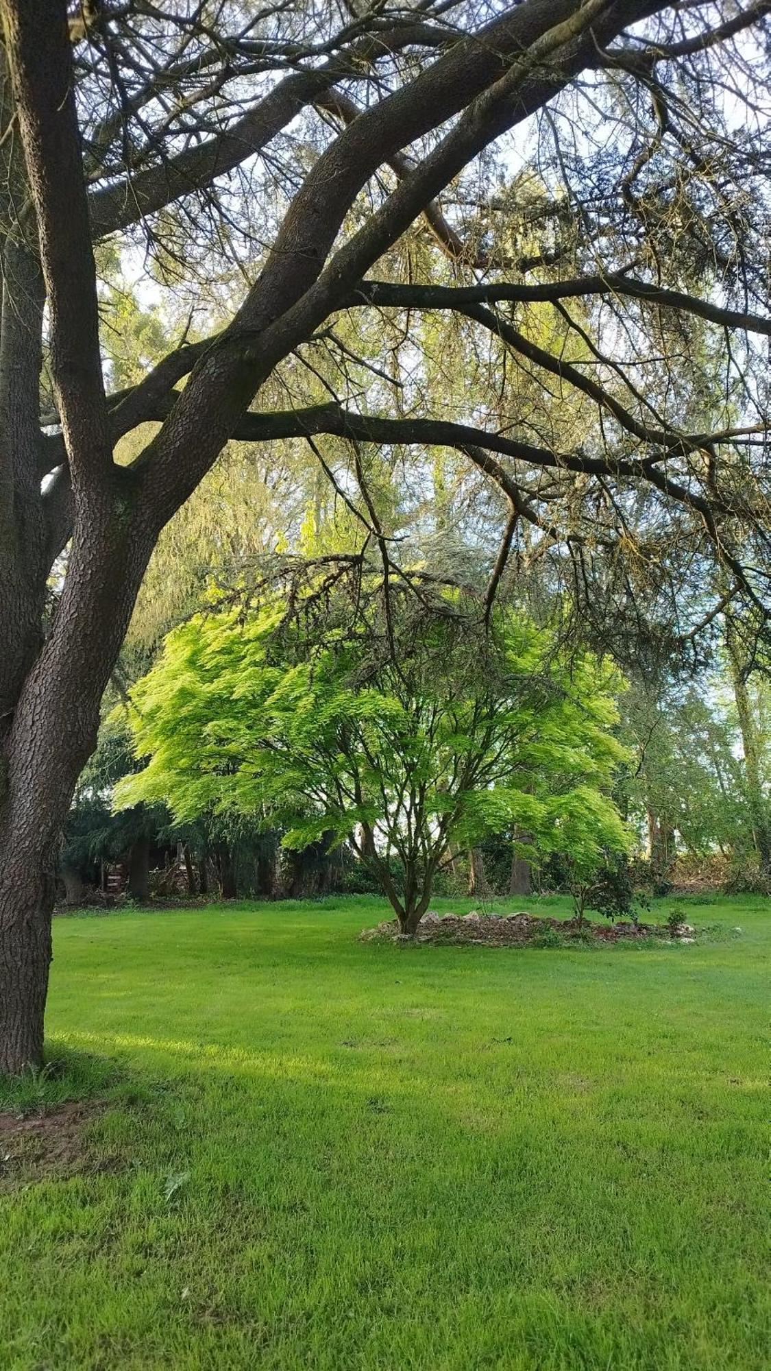 La Suite D'Anna Rohan Exteriér fotografie